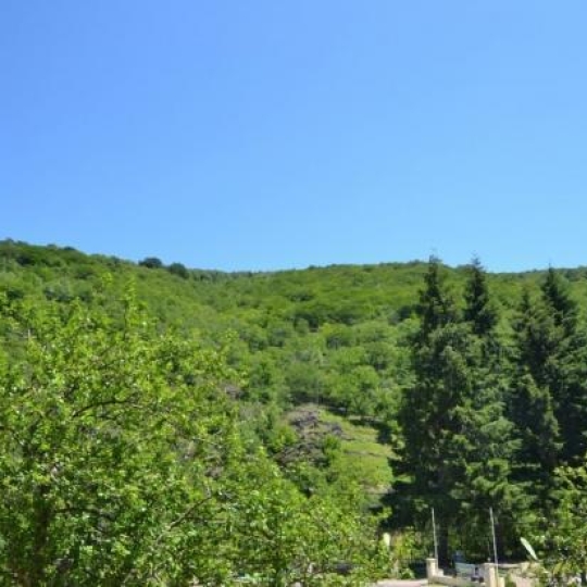  ARDECHE LOZERE IMMOBILIER : Terrain | POURCHARESSES (48800) | 958 m2 | 22 500 € 