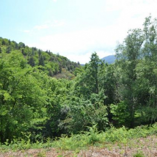  ARDECHE LOZERE IMMOBILIER : Terrain | SAINT-ANDRE-CAPCEZE (48800) | 2 110 m2 | 33 000 € 