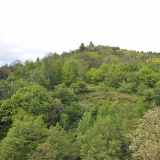  ARDECHE LOZERE IMMOBILIER : Terrain | SAINT-ANDRE-CAPCEZE (48800) | 2 110 m2 | 33 000 € 