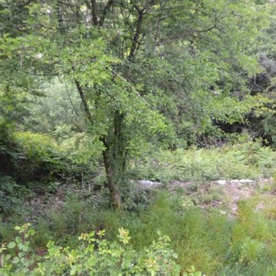  ARDECHE LOZERE IMMOBILIER : Terrain | SAINT-ANDRE-CAPCEZE (48800) | 2 110 m2 | 33 000 € 