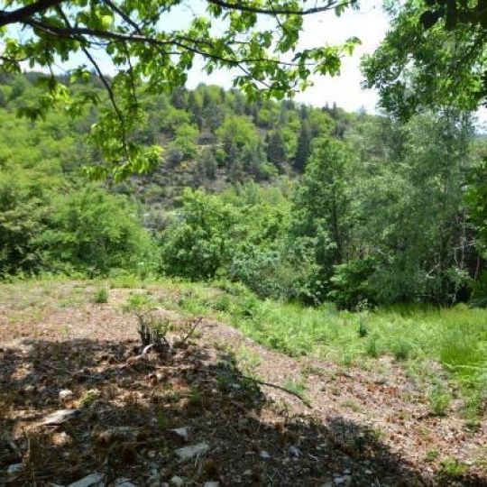  ARDECHE LOZERE IMMOBILIER : Terrain | SAINT-ANDRE-CAPCEZE (48800) | 2 110 m2 | 33 000 € 