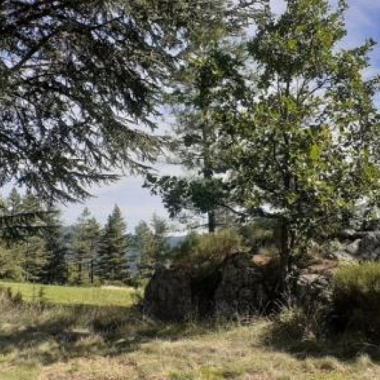  ARDECHE LOZERE IMMOBILIER : Terrain | CONCOULES (30450) | 16 260 m2 | 25 000 € 