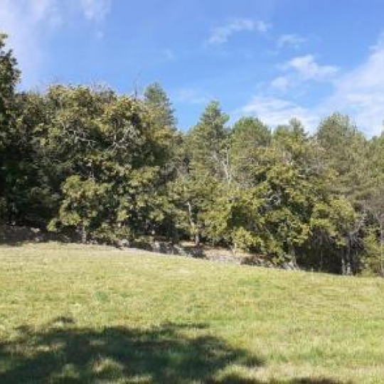  ARDECHE LOZERE IMMOBILIER : Terrain | CONCOULES (30450) | 16 260 m2 | 25 000 € 