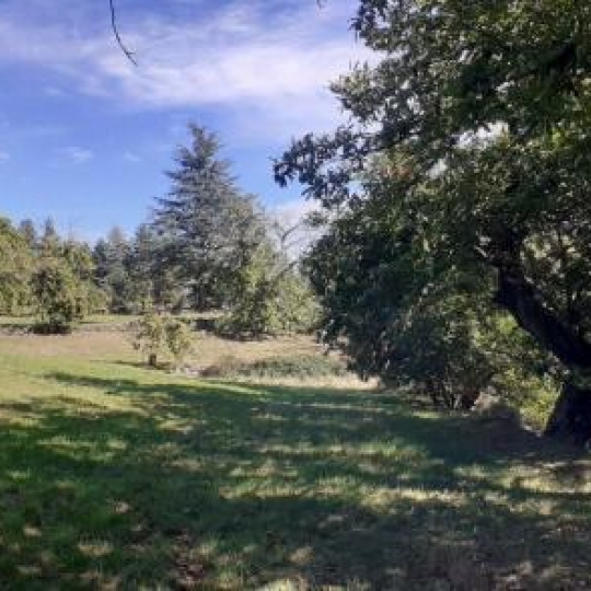  ARDECHE LOZERE IMMOBILIER : Terrain | CONCOULES (30450) | 16 260 m2 | 25 000 € 