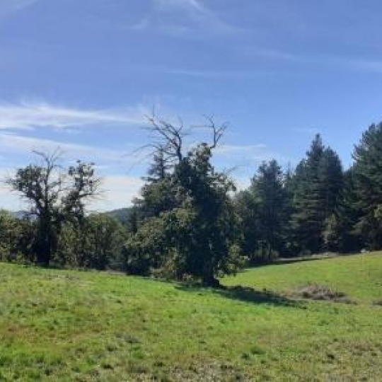  ARDECHE LOZERE IMMOBILIER : Terrain | CONCOULES (30450) | 16 260 m2 | 25 000 € 