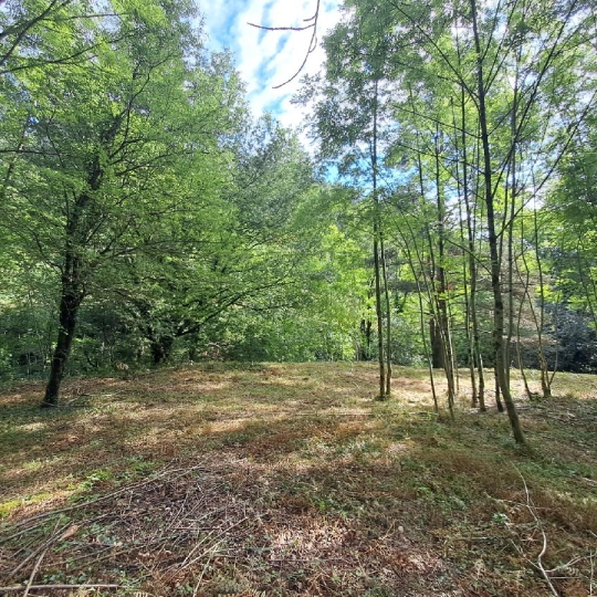  ARDECHE LOZERE IMMOBILIER : Ground | GENOLHAC (30450) | 14 472 m2 | 18 000 € 