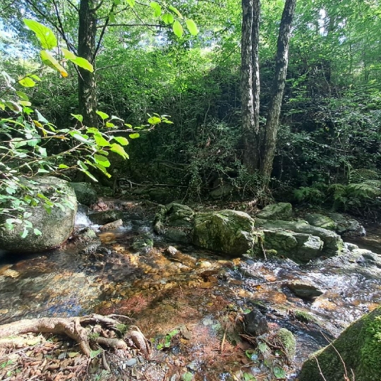  ARDECHE LOZERE IMMOBILIER : Ground | GENOLHAC (30450) | 14 472 m2 | 18 000 € 