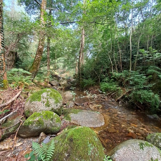  ARDECHE LOZERE IMMOBILIER : Ground | GENOLHAC (30450) | 14 472 m2 | 18 000 € 