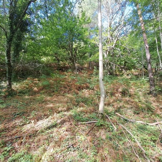  ARDECHE LOZERE IMMOBILIER : Ground | GENOLHAC (30450) | 14 472 m2 | 18 000 € 
