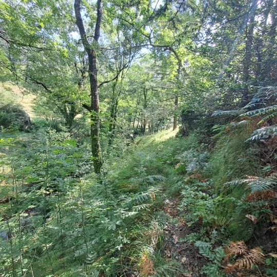  ARDECHE LOZERE IMMOBILIER : Ground | GENOLHAC (30450) | 14 472 m2 | 18 000 € 