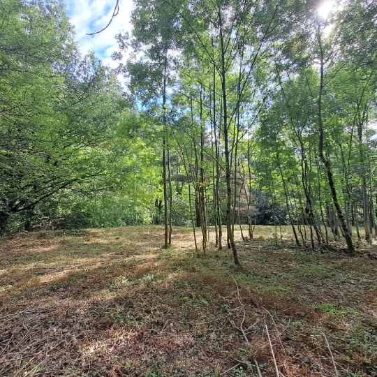  ARDECHE LOZERE IMMOBILIER : Ground | GENOLHAC (30450) | 14 472 m2 | 18 000 € 