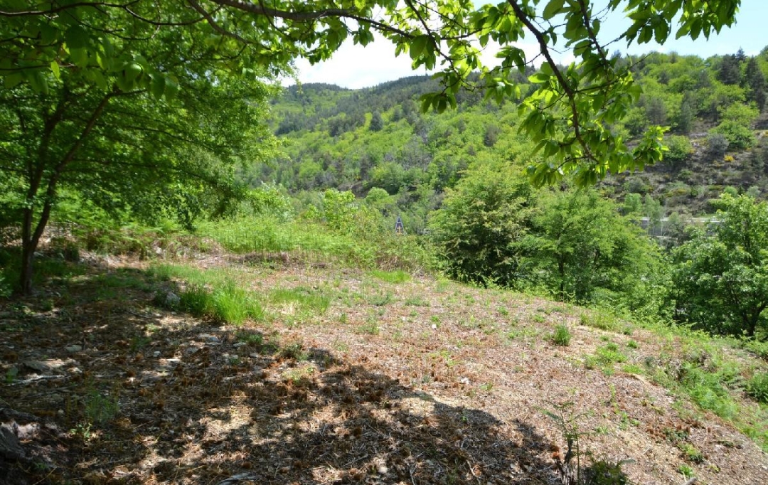 ARDECHE LOZERE IMMOBILIER : Terrain | SAINT-ANDRE-CAPCEZE (48800) | 2 110 m2 | 33 000 € 