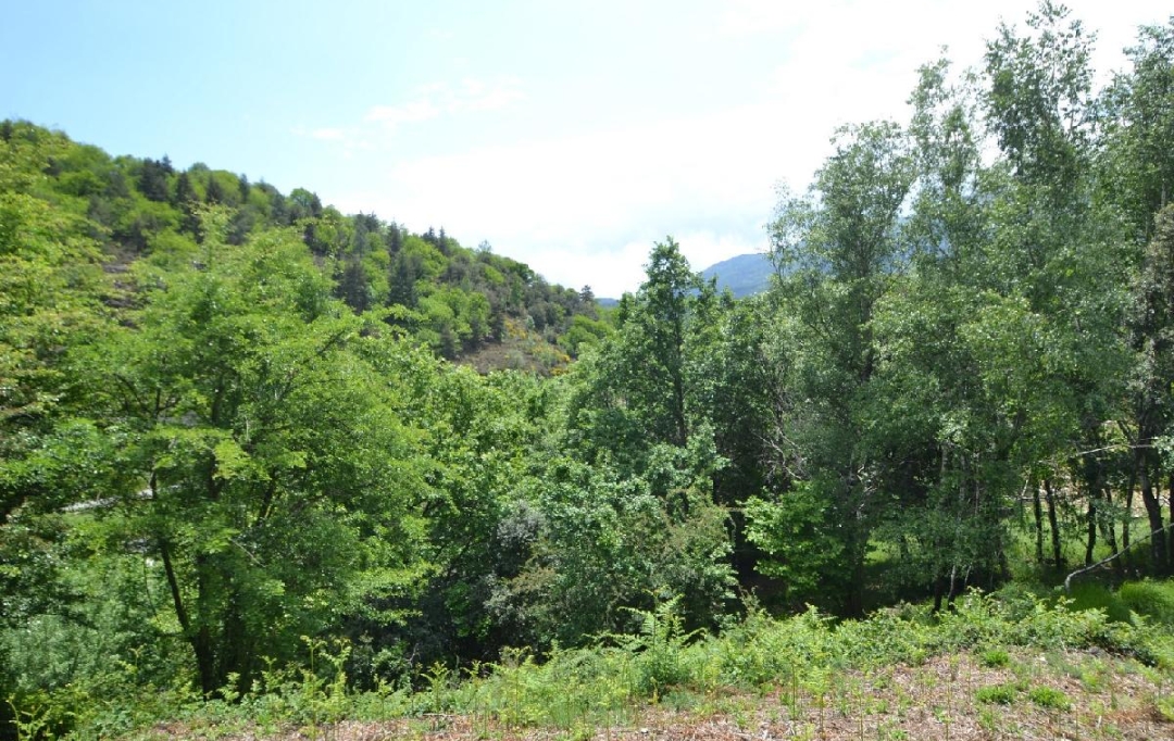 ARDECHE LOZERE IMMOBILIER : Terrain | SAINT-ANDRE-CAPCEZE (48800) | 2 110 m2 | 33 000 € 