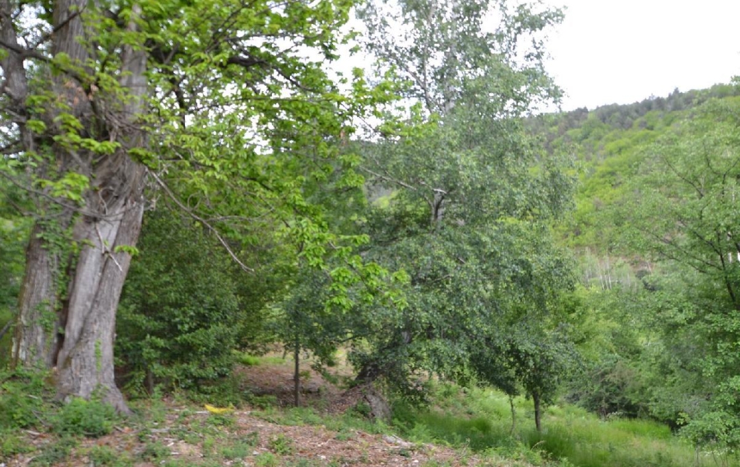 ARDECHE LOZERE IMMOBILIER : Terrain | SAINT-ANDRE-CAPCEZE (48800) | 2 110 m2 | 33 000 € 