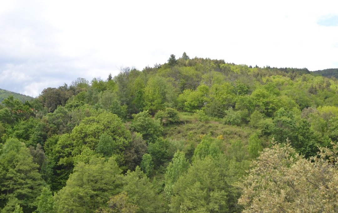 ARDECHE LOZERE IMMOBILIER : Terrain | SAINT-ANDRE-CAPCEZE (48800) | 2 110 m2 | 33 000 € 