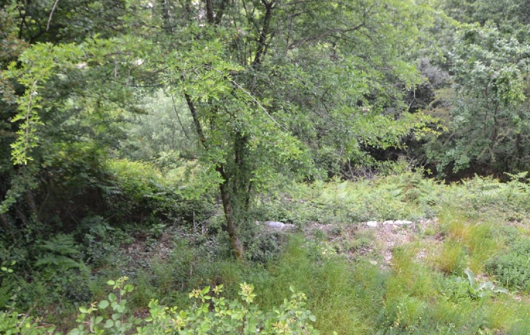 ARDECHE LOZERE IMMOBILIER : Terrain | SAINT-ANDRE-CAPCEZE (48800) | 2 110 m2 | 33 000 € 