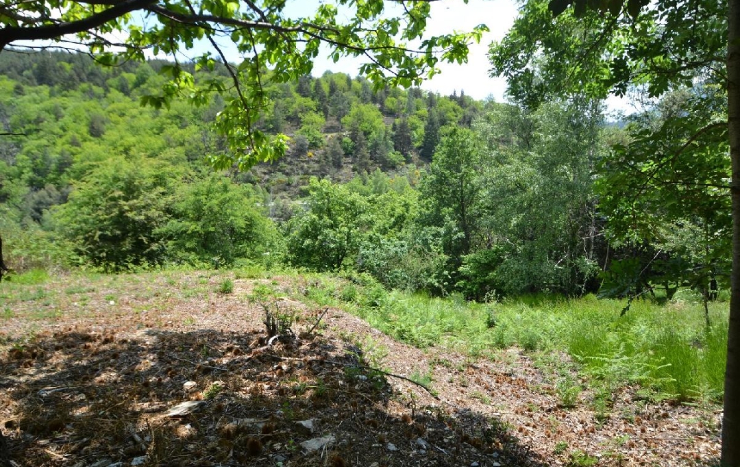 ARDECHE LOZERE IMMOBILIER : Terrain | SAINT-ANDRE-CAPCEZE (48800) | 2 110 m2 | 33 000 € 