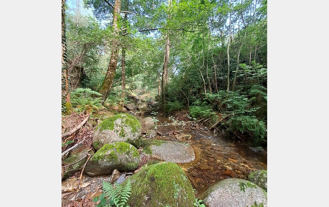 ARDECHE LOZERE IMMOBILIER : Ground | GENOLHAC (30450) | 14 472 m2 | 18 000 € 