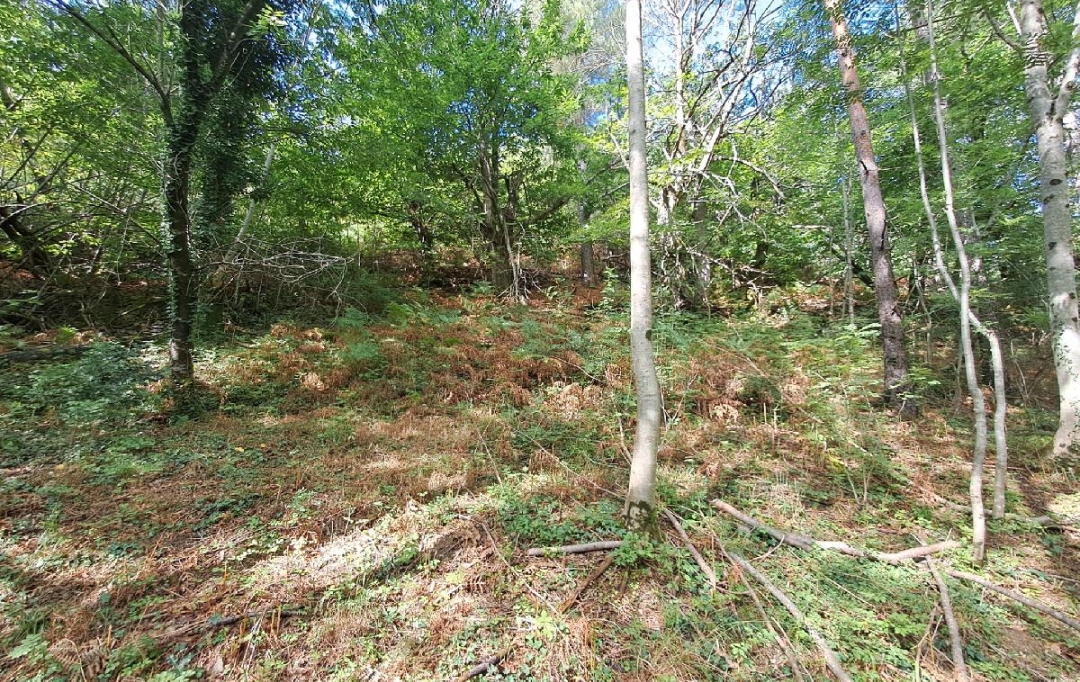 ARDECHE LOZERE IMMOBILIER : Ground | GENOLHAC (30450) | 14 472 m2 | 18 000 € 
