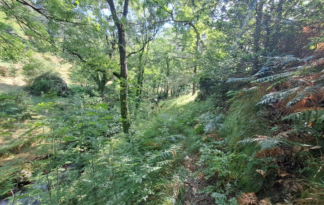 ARDECHE LOZERE IMMOBILIER : Ground | GENOLHAC (30450) | 14 472 m2 | 18 000 € 