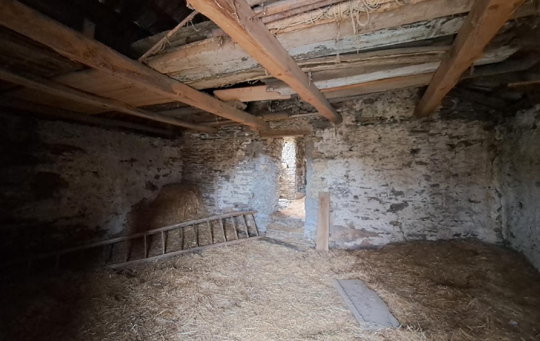 ARDECHE LOZERE IMMOBILIER : Maison / Villa | SENECHAS (30450) | 100 m2 | 65 500 € 