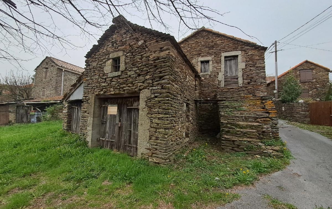 ARDECHE LOZERE IMMOBILIER : Maison / Villa | SENECHAS (30450) | 100 m2 | 65 500 € 