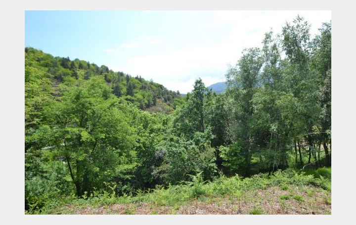 ARDECHE LOZERE IMMOBILIER : Terrain | SAINT-ANDRE-CAPCEZE (48800) | 2 110 m2 | 33 000 € 