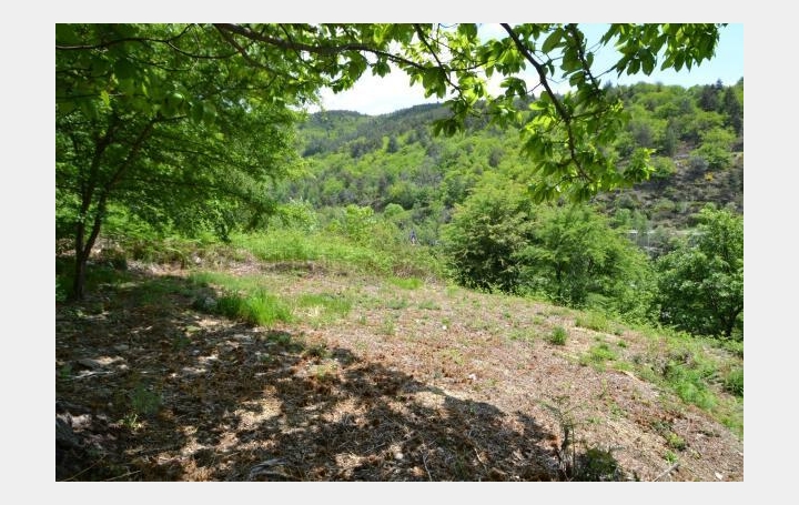 ARDECHE LOZERE IMMOBILIER : Terrain | SAINT-ANDRE-CAPCEZE (48800) | 2 110 m2 | 33 000 € 