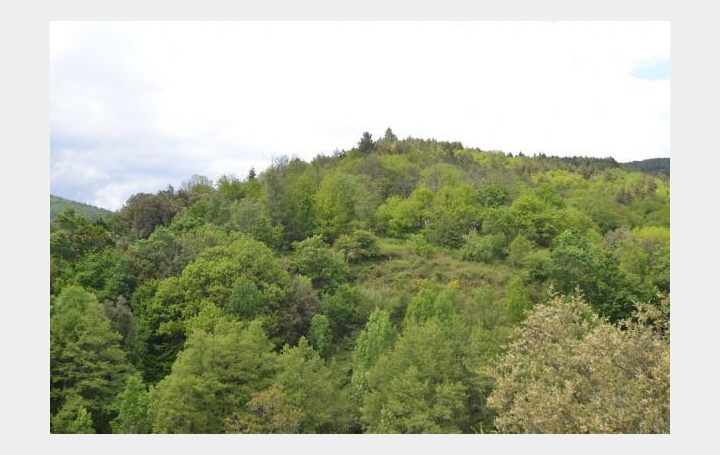 ARDECHE LOZERE IMMOBILIER : Terrain | SAINT-ANDRE-CAPCEZE (48800) | 2 110 m2 | 33 000 € 