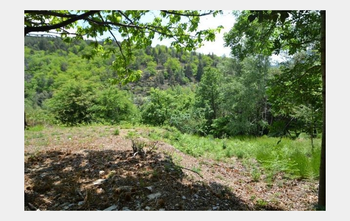 ARDECHE LOZERE IMMOBILIER : Terrain | SAINT-ANDRE-CAPCEZE (48800) | 2 110 m2 | 33 000 € 