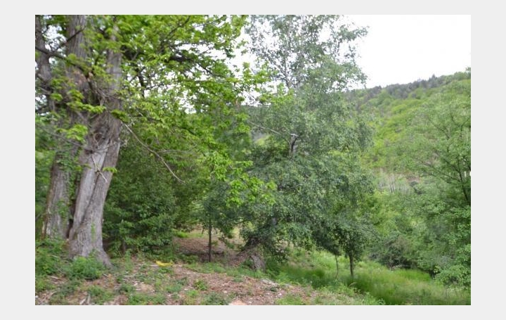 ARDECHE LOZERE IMMOBILIER : Terrain | SAINT-ANDRE-CAPCEZE (48800) | 2 110 m2 | 33 000 € 