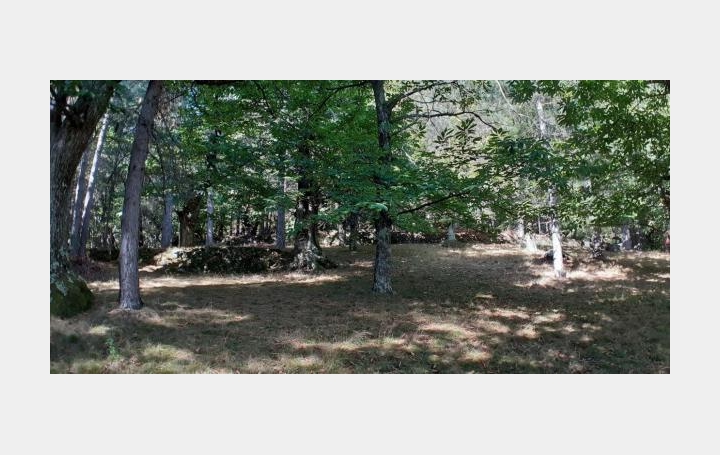 ARDECHE LOZERE IMMOBILIER : Terrain | CONCOULES (30450) | 16 260 m2 | 25 000 € 