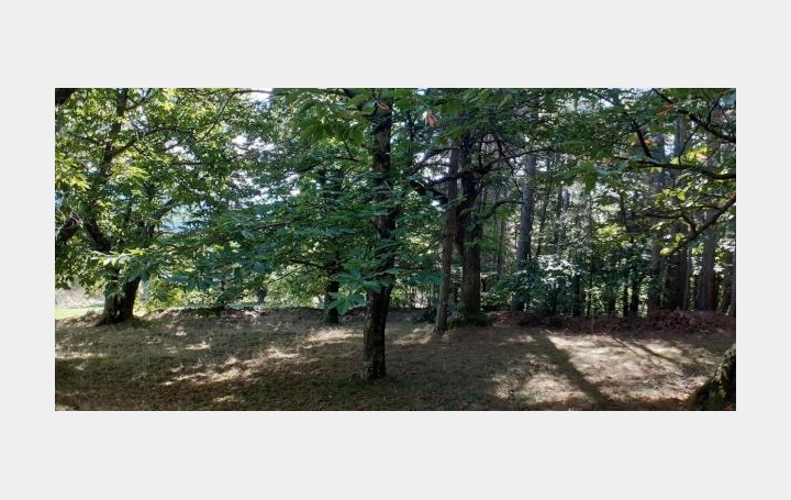 ARDECHE LOZERE IMMOBILIER : Terrain | CONCOULES (30450) | 16 260 m2 | 25 000 € 