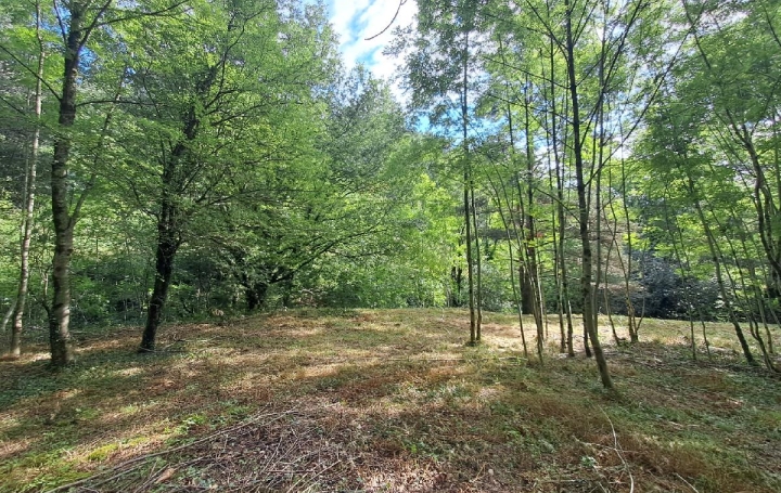  ARDECHE LOZERE IMMOBILIER Ground | GENOLHAC (30450) | 14 472 m2 | 18 000 € 